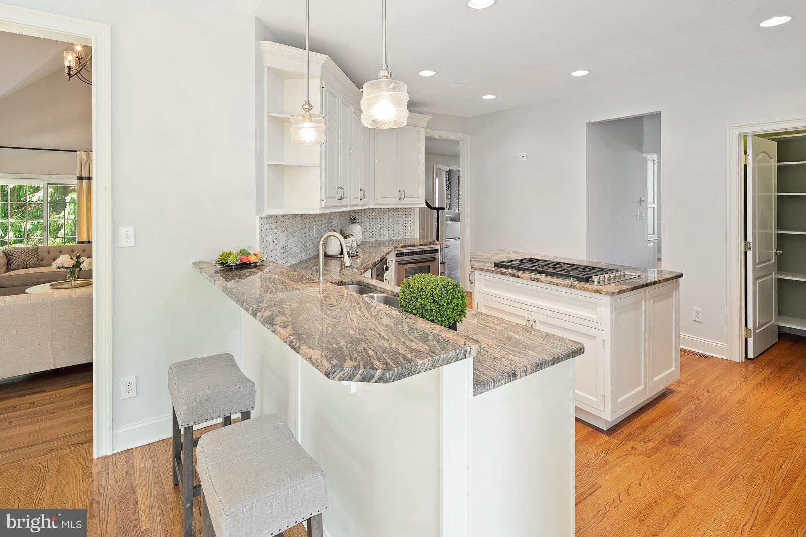 22 Todd Ridge Road Titusville, NJ 08560 - Photo 20 of 49 Gourmet Kitchen