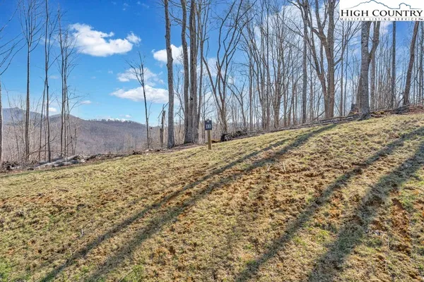 a view of a backyard of the house