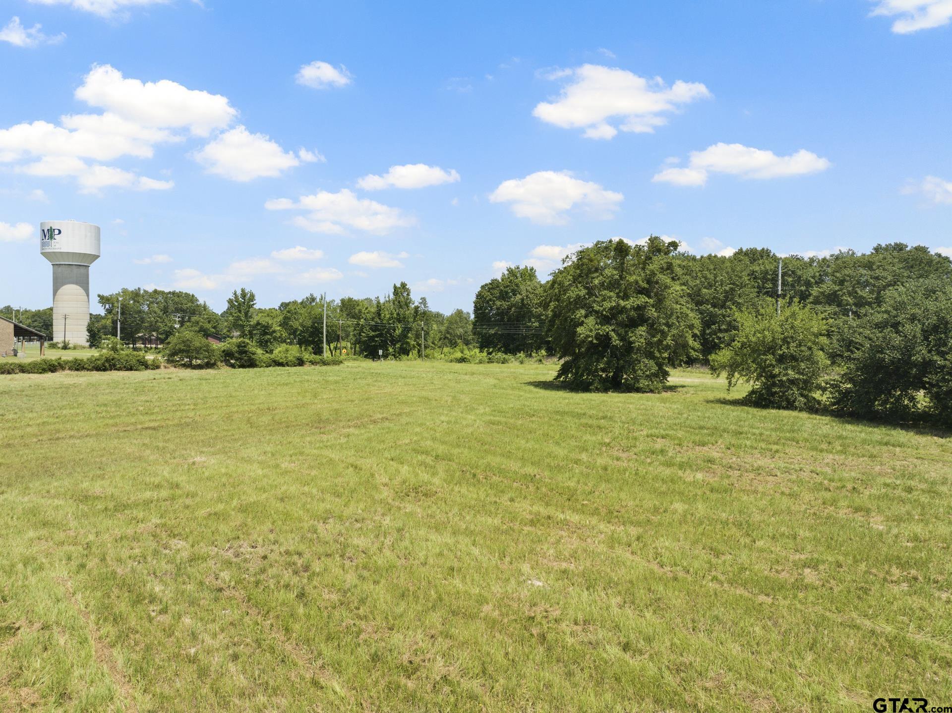 Tbd Billy Daniel Street Mount Pleasant, TX 75455 - Photo 6 of 19 a view of a lake with a big yard