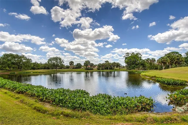 a view of a lake with a city