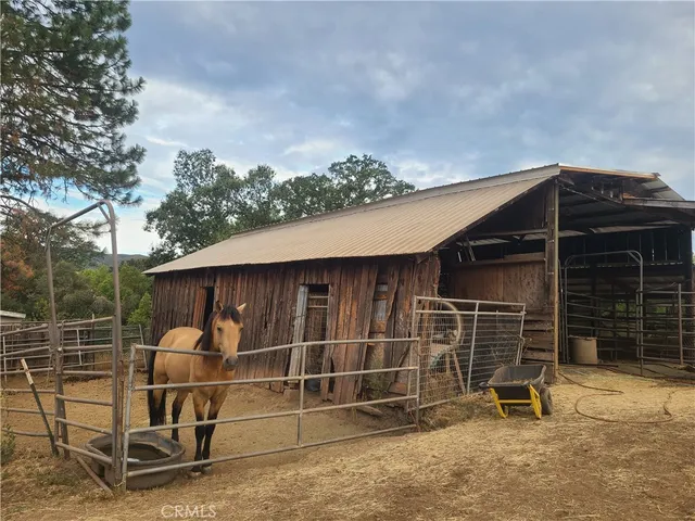 a view of a pathway with a wrought fence