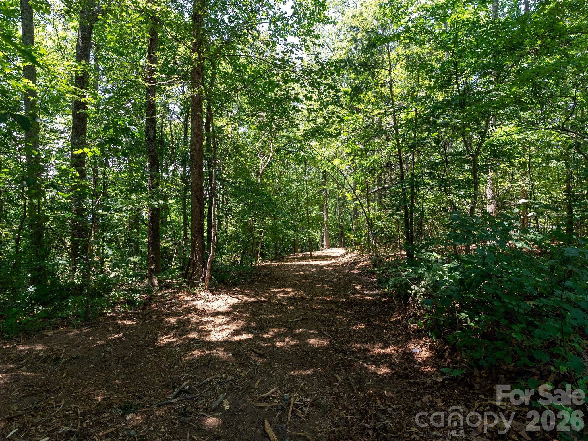 Lot 22 Plumley Summit Road, Unit 22 Landrum, SC 29356 - Photo 15 of 27