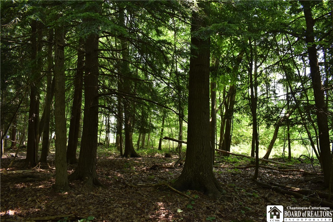 0 Stoneledge Road Ashville, NY 14710 - Photo 11 of 50