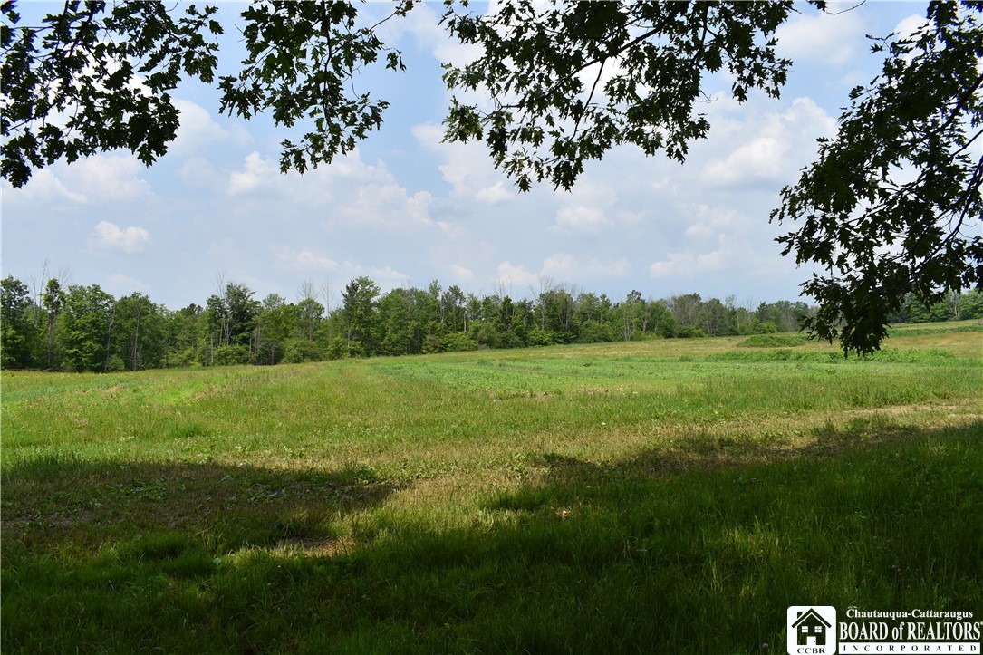 0 Stoneledge Road Ashville, NY 14710 - Photo 12 of 50