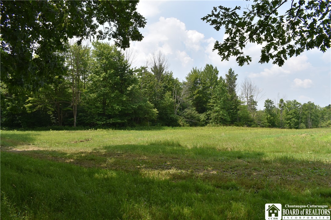 0 Stoneledge Road Ashville, NY 14710 - Photo 14 of 50