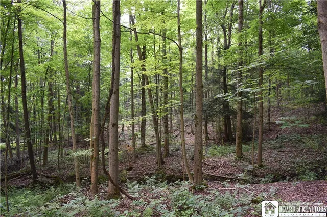 $1,430,000 | 0 Stoneledge Road, Ashville, NY 14710