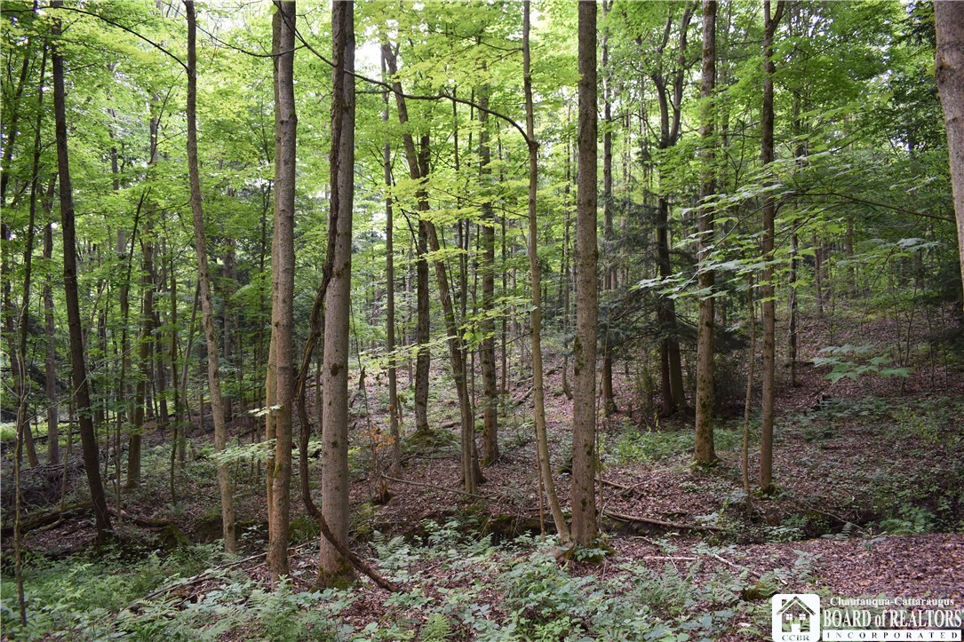 0 Stoneledge Road Ashville, NY 14710 - Photo 15 of 50