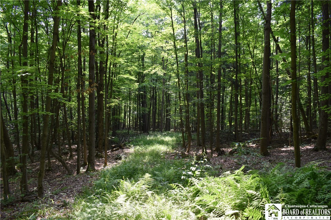 0 Stoneledge Road Ashville, NY 14710 - Photo 16 of 50