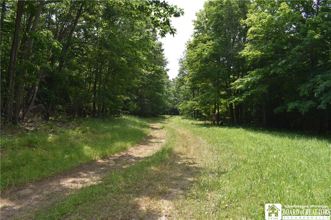 0 Stoneledge Road Ashville, NY 14710 - Photo 17 of 50