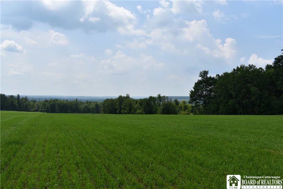 0 Stoneledge Road Ashville, NY 14710 - Photo 18 of 50