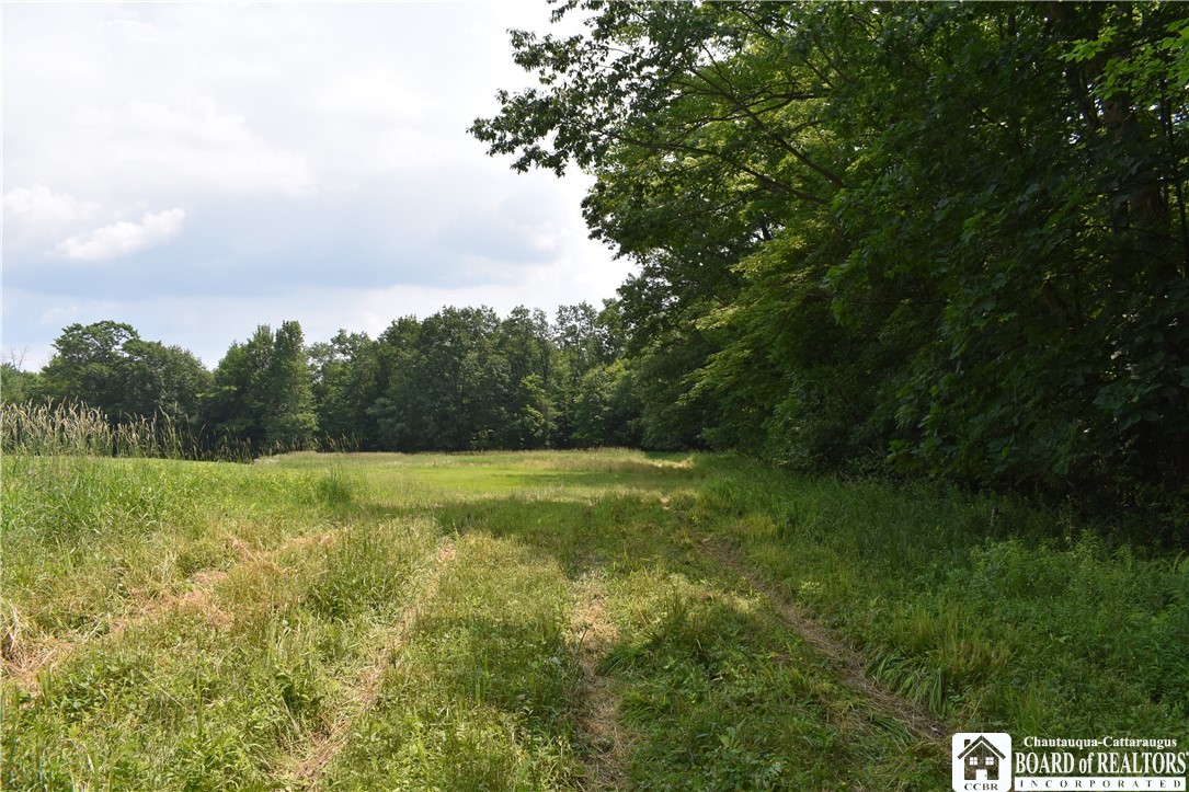 0 Stoneledge Road Ashville, NY 14710 - Photo 19 of 50