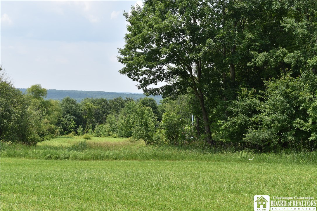 0 Stoneledge Road Ashville, NY 14710 - Photo 20 of 50