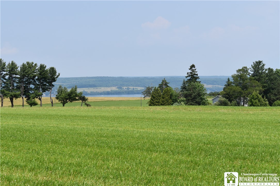 0 Stoneledge Road Ashville, NY 14710 - Photo 2 of 50