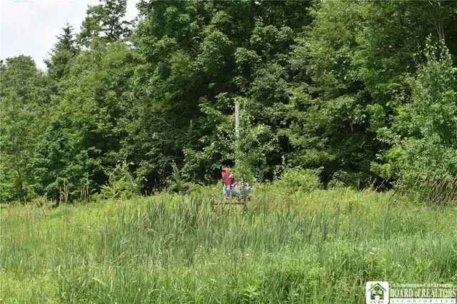 $1,430,000 | 0 Stoneledge Road, Ashville, NY 14710