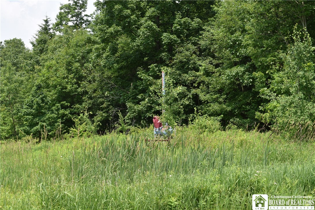 0 Stoneledge Road Ashville, NY 14710 - Photo 21 of 50