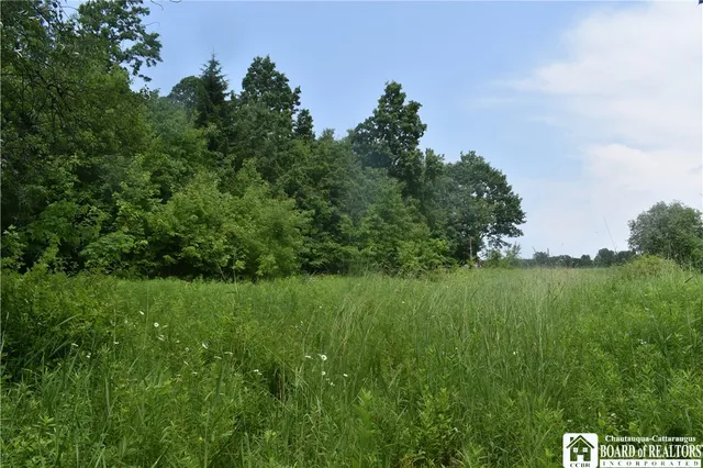 $1,430,000 | 0 Stoneledge Road, Ashville, NY 14710