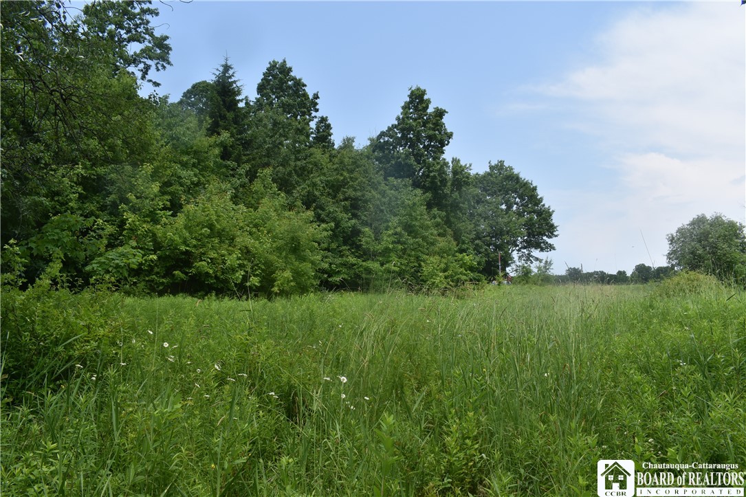 0 Stoneledge Road Ashville, NY 14710 - Photo 22 of 50