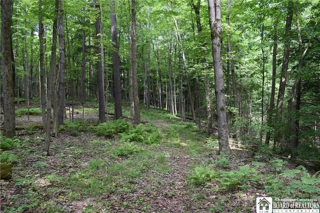 $1,430,000 | 0 Stoneledge Road, Ashville, NY 14710