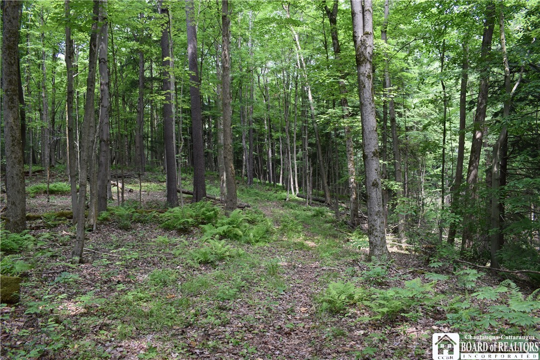 0 Stoneledge Road Ashville, NY 14710 - Photo 23 of 50