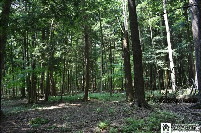 $1,430,000 | 0 Stoneledge Road, Ashville, NY 14710