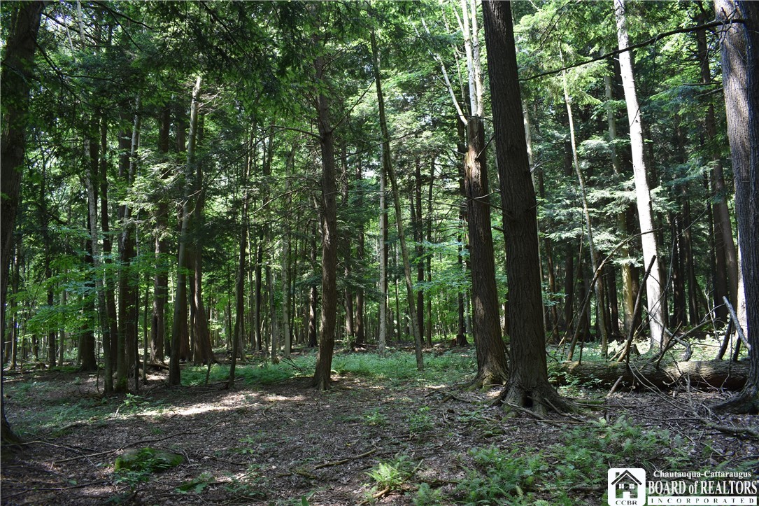 0 Stoneledge Road Ashville, NY 14710 - Photo 24 of 50