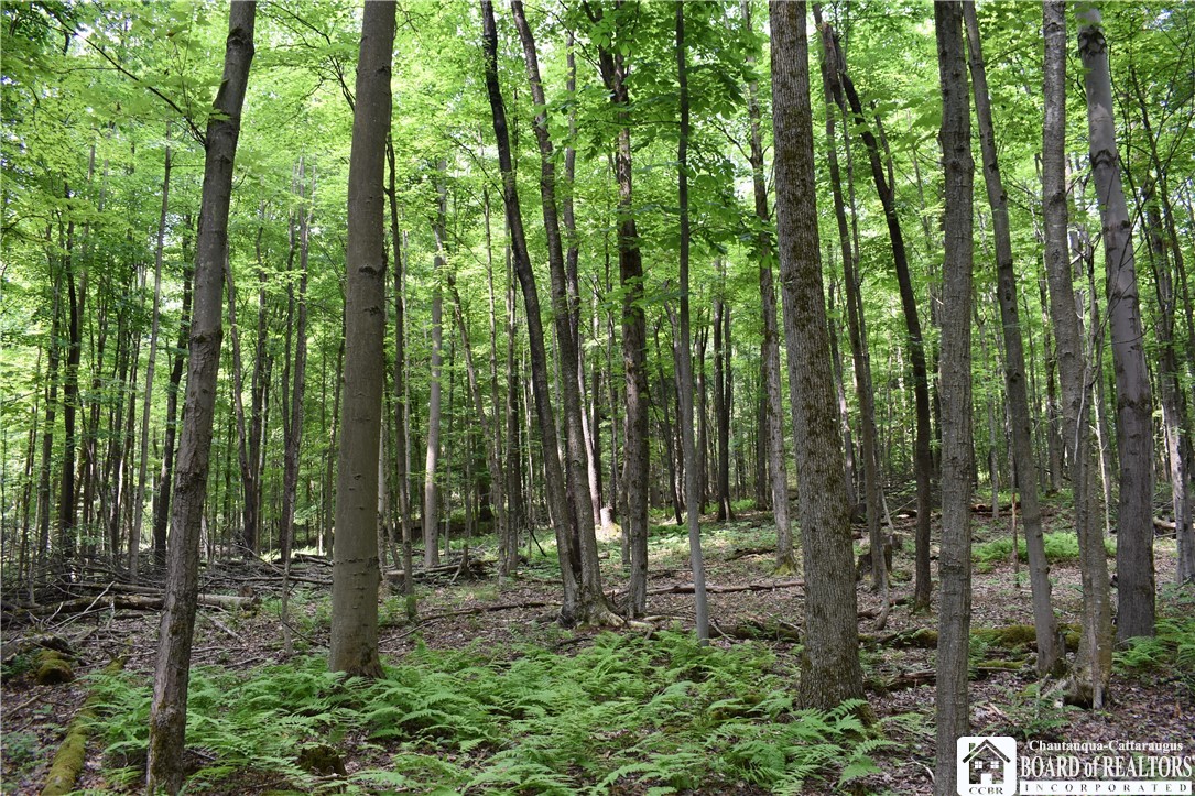 0 Stoneledge Road Ashville, NY 14710 - Photo 25 of 50