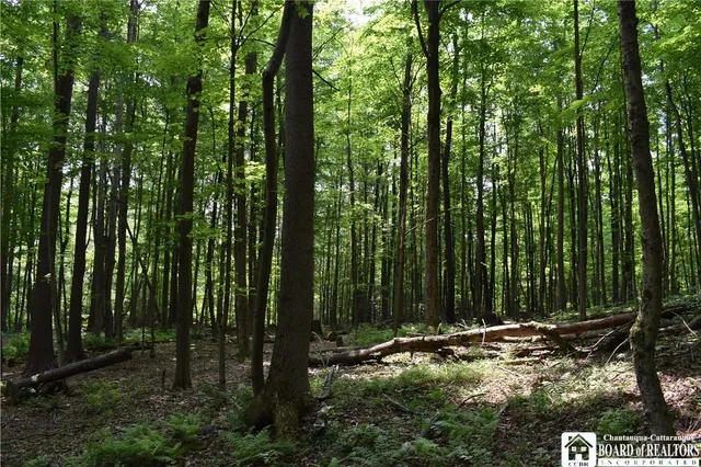 $1,430,000 | 0 Stoneledge Road, Ashville, NY 14710