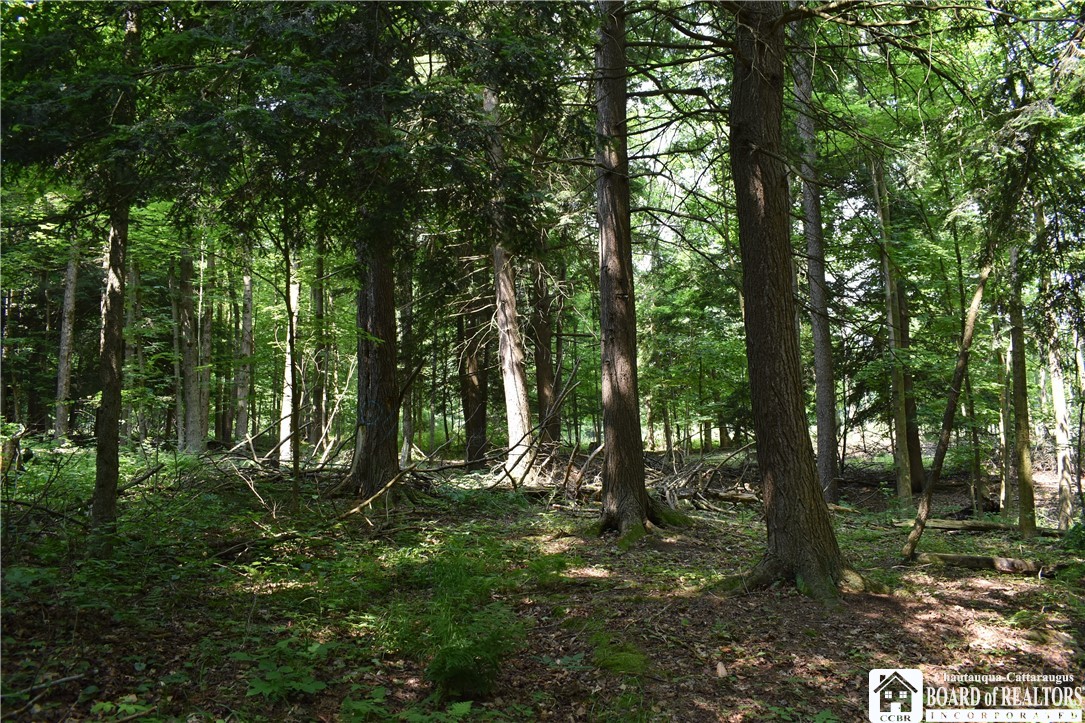 0 Stoneledge Road Ashville, NY 14710 - Photo 27 of 50