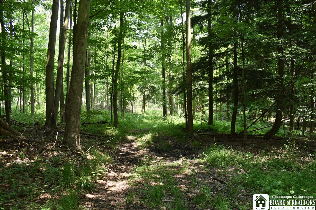 0 Stoneledge Road Ashville, NY 14710 - Photo 28 of 50