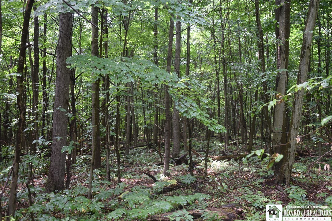 0 Stoneledge Road Ashville, NY 14710 - Photo 29 of 50