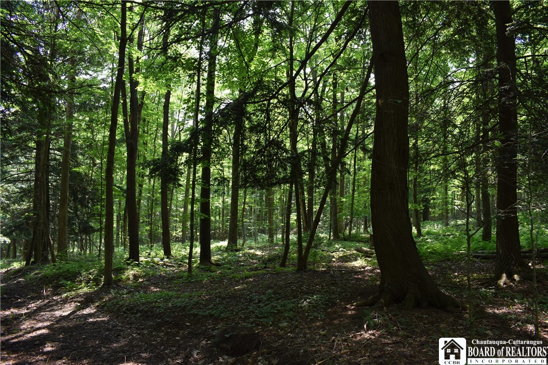 0 Stoneledge Road Ashville, NY 14710 - Photo 30 of 50