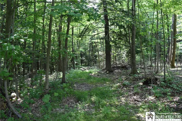 $1,430,000 | 0 Stoneledge Road, Ashville, NY 14710