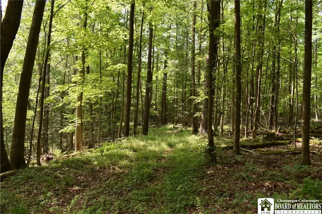 $1,430,000 | 0 Stoneledge Road, Ashville, NY 14710