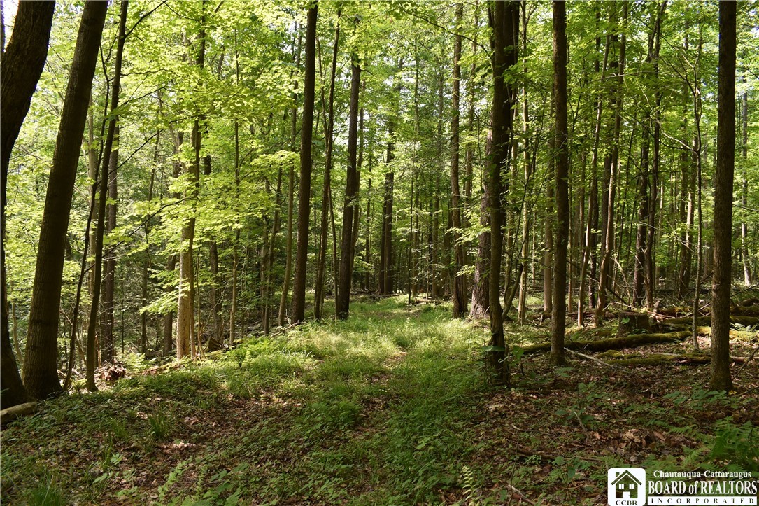 0 Stoneledge Road Ashville, NY 14710 - Photo 32 of 50