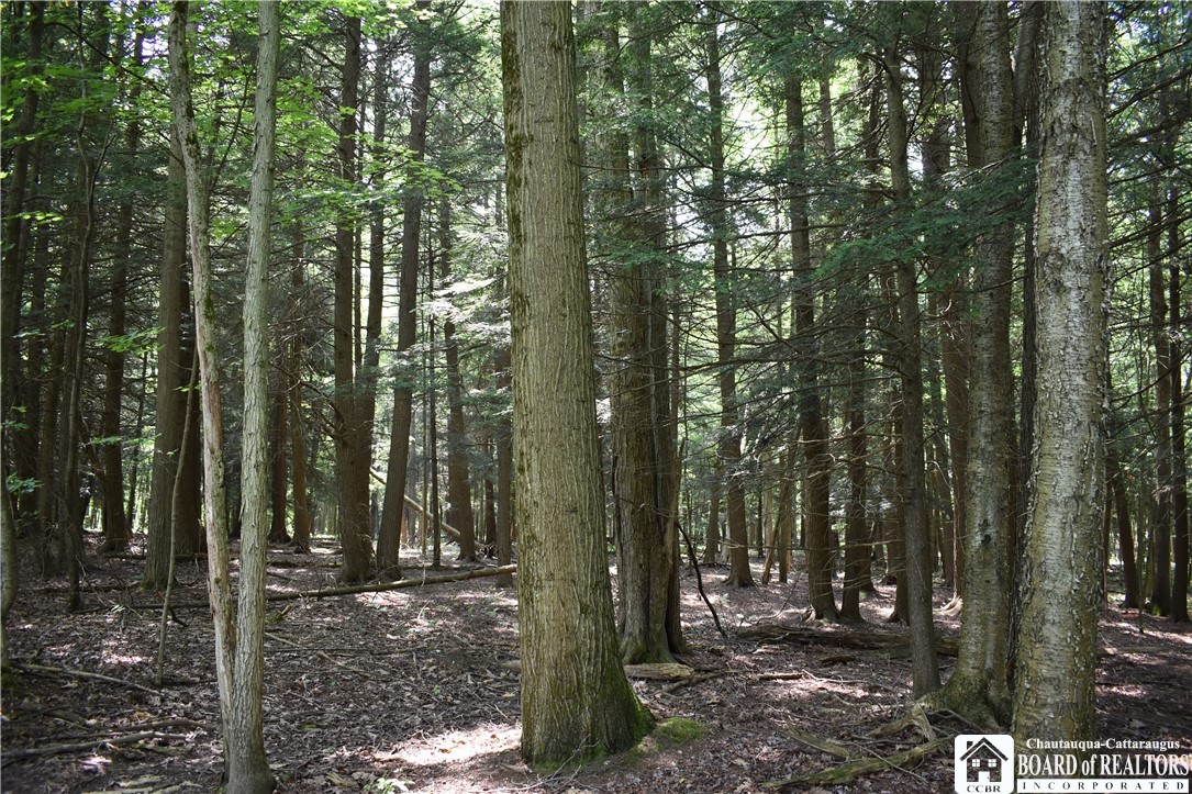 0 Stoneledge Road Ashville, NY 14710 - Photo 33 of 50