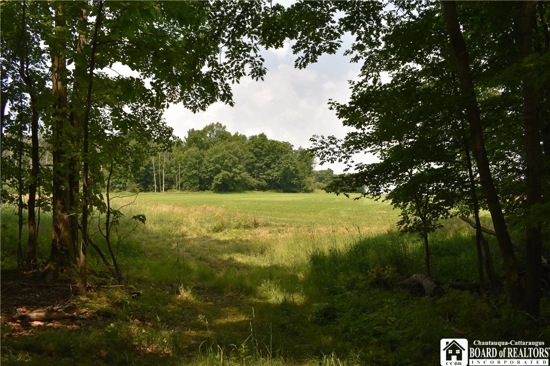 0 Stoneledge Road Ashville, NY 14710 - Photo 34 of 50