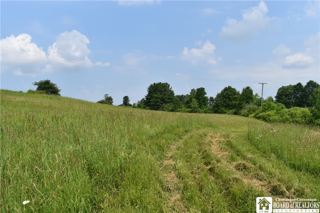 0 Stoneledge Road Ashville, NY 14710 - Photo 35 of 50