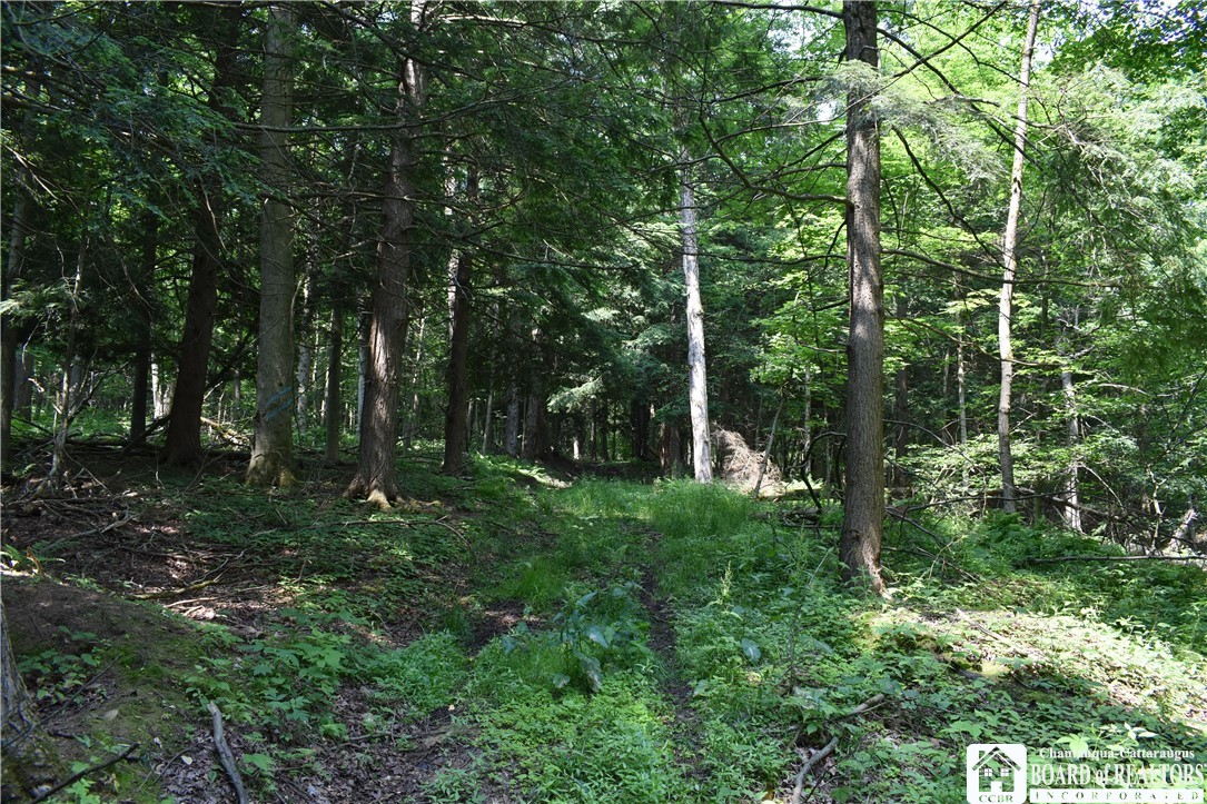 0 Stoneledge Road Ashville, NY 14710 - Photo 36 of 50