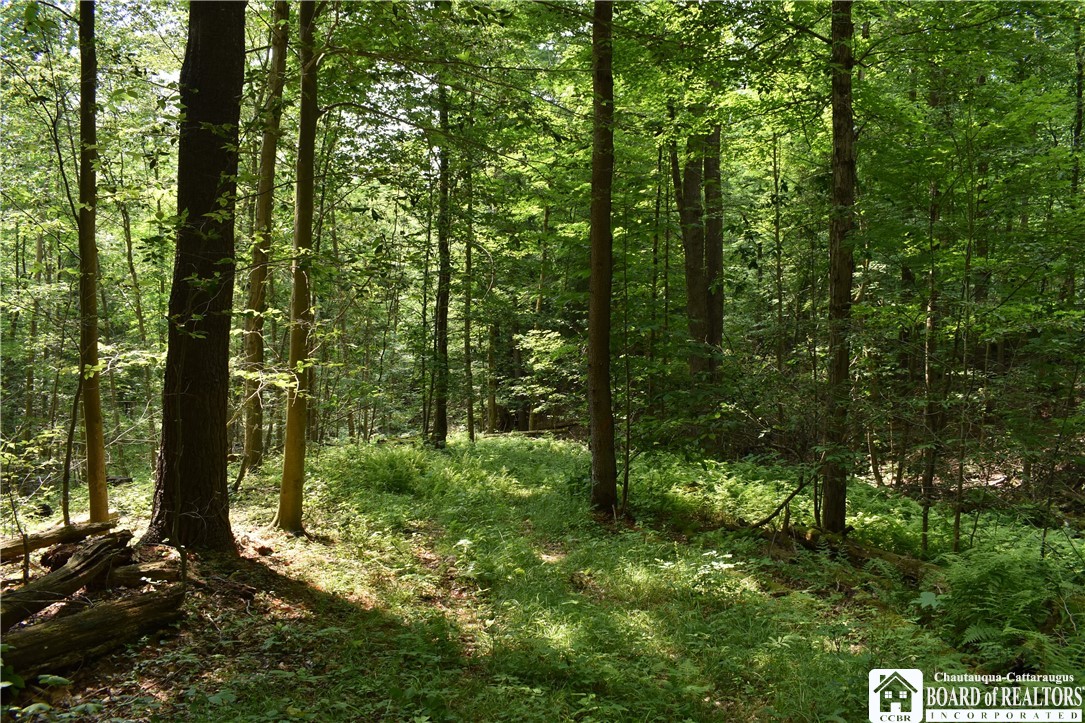 0 Stoneledge Road Ashville, NY 14710 - Photo 37 of 50