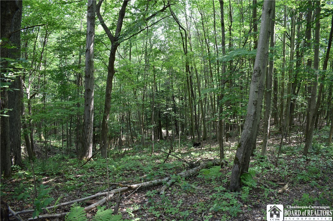 0 Stoneledge Road Ashville, NY 14710 - Photo 38 of 50