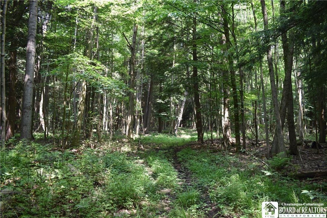 0 Stoneledge Road Ashville, NY 14710 - Photo 39 of 50