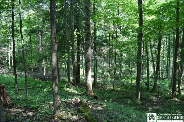 $1,430,000 | 0 Stoneledge Road, Ashville, NY 14710