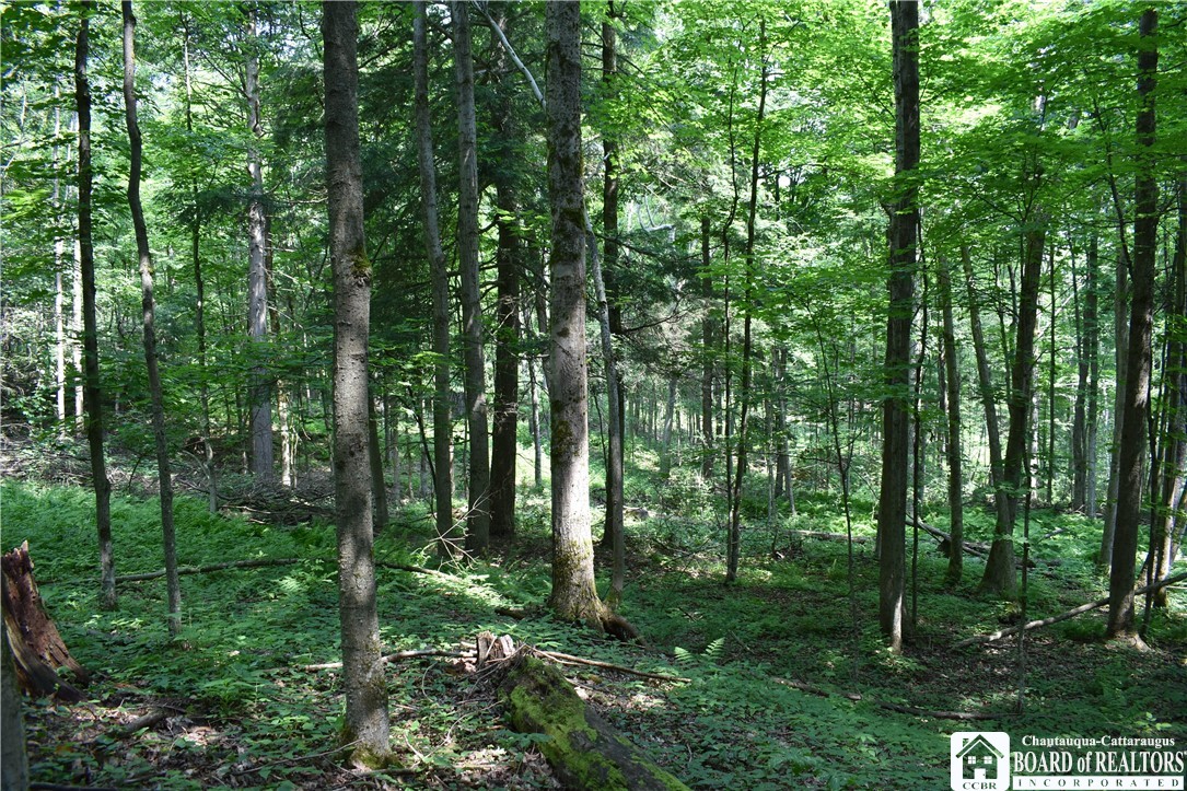 0 Stoneledge Road Ashville, NY 14710 - Photo 40 of 50