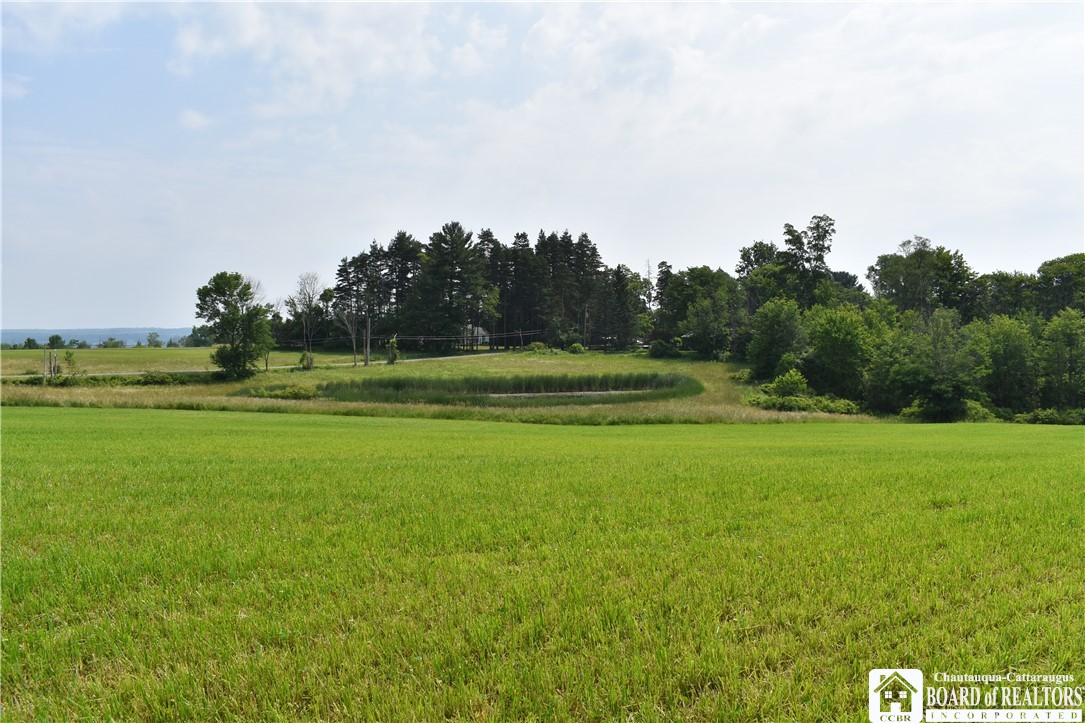 0 Stoneledge Road Ashville, NY 14710 - Photo 4 of 50