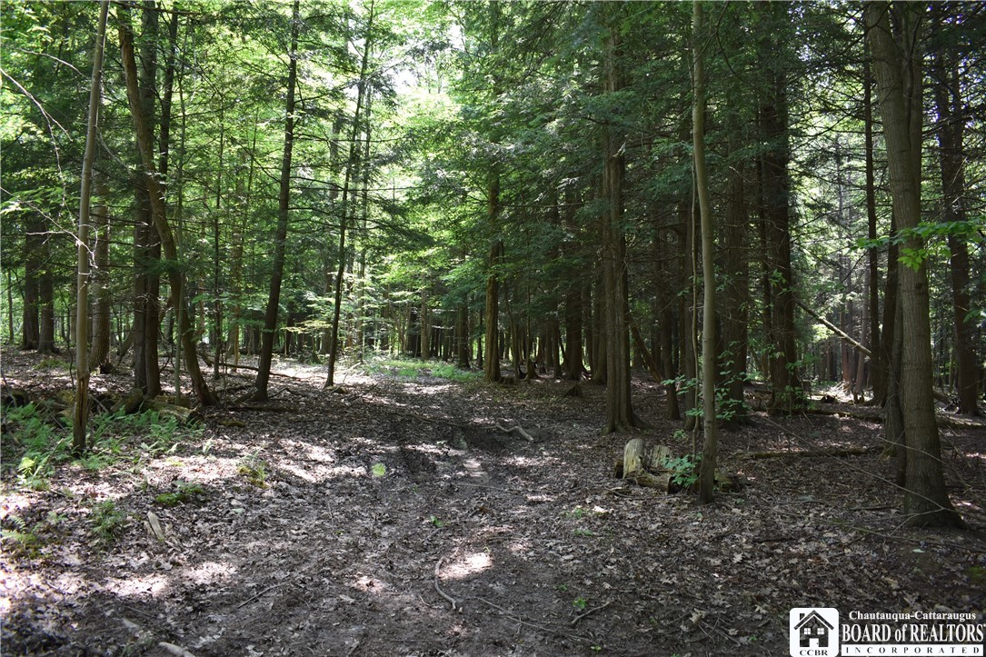 0 Stoneledge Road Ashville, NY 14710 - Photo 41 of 50