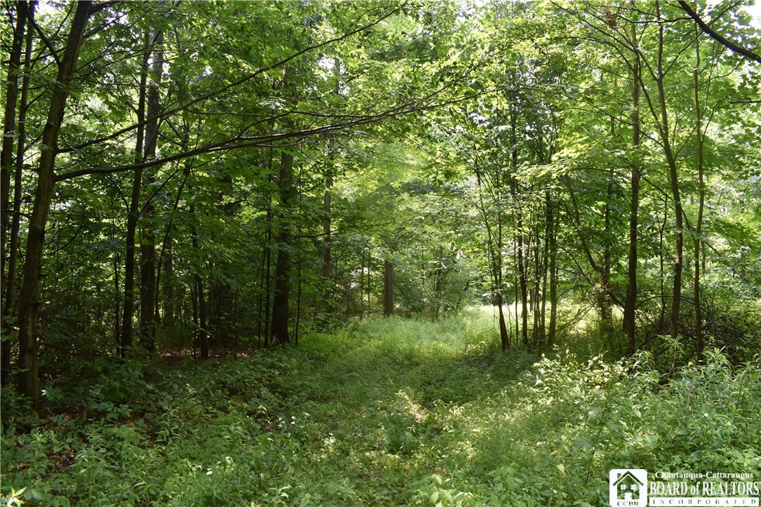 0 Stoneledge Road Ashville, NY 14710 - Photo 42 of 50