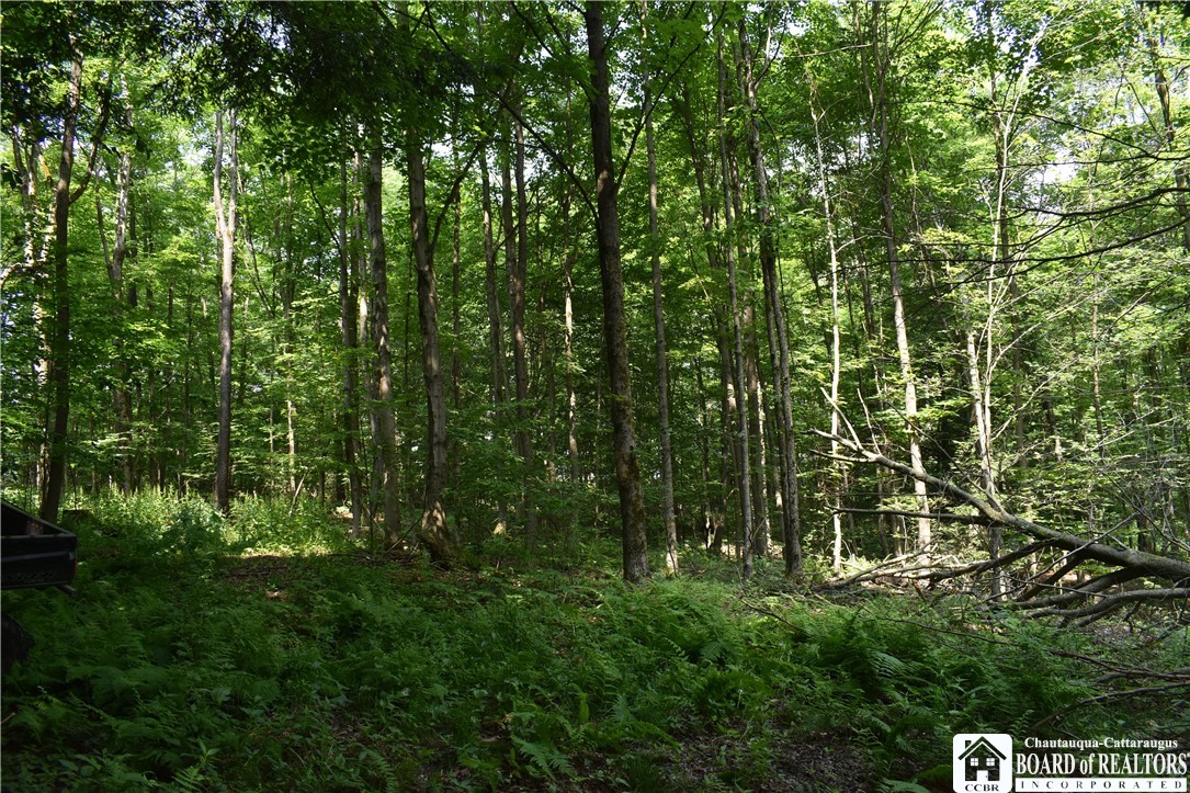 0 Stoneledge Road Ashville, NY 14710 - Photo 43 of 50