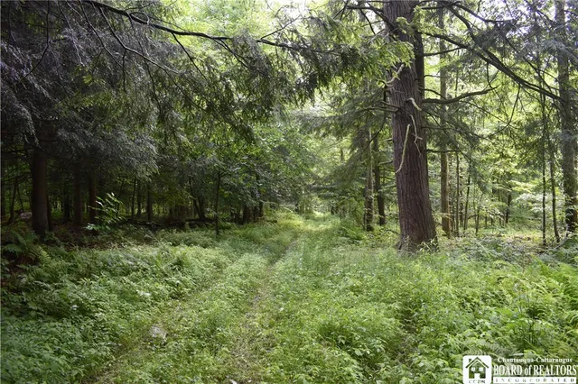 $1,430,000 | 0 Stoneledge Road, Ashville, NY 14710