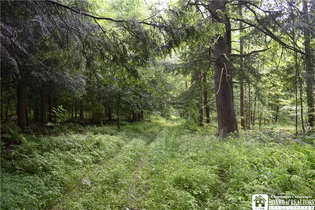 0 Stoneledge Road Ashville, NY 14710 - Photo 44 of 50