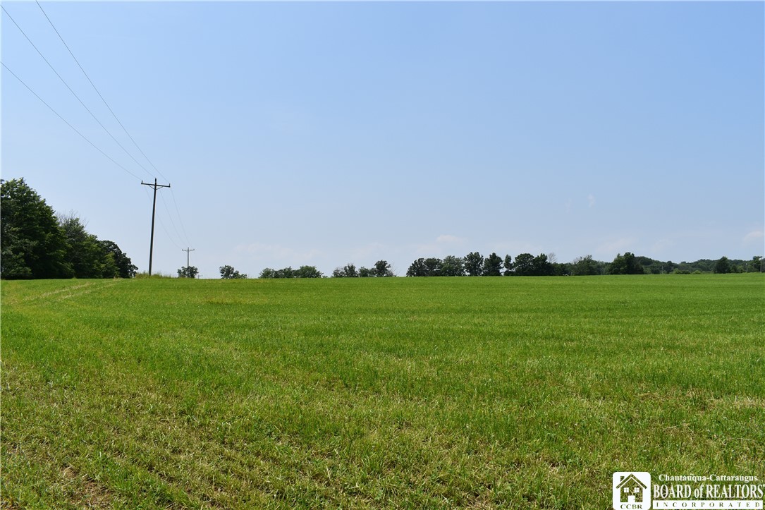 0 Stoneledge Road Ashville, NY 14710 - Photo 46 of 50